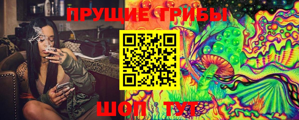 Псилоцибиновые грибы Cubensis  Пенза  Псилоцибиновые грибы Cubensis 