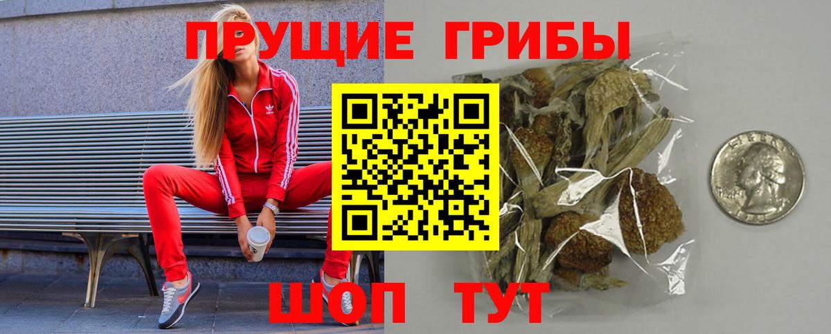 Пенза  Псилоцибиновые грибы ЛСД  продажа наркотиков  Вход с VPN 
